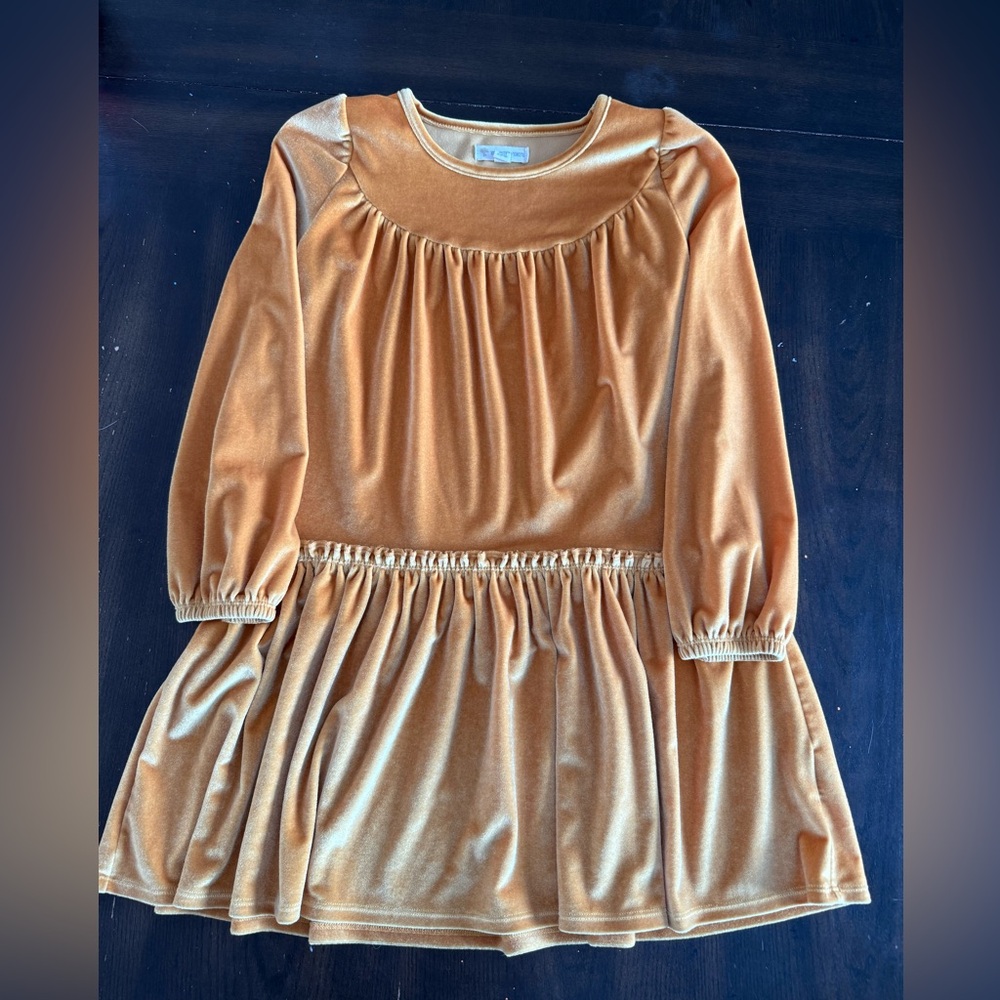 Velvet Dress